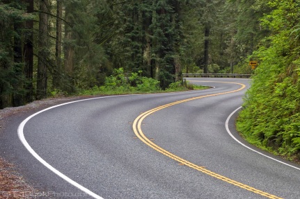 Redwood Highway, northern California, S-curve